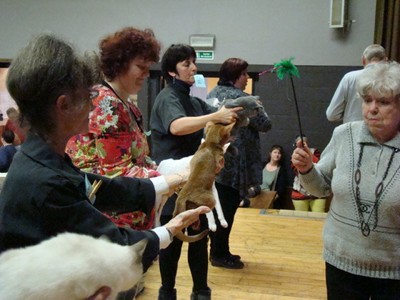 20121021_224 (Expo)